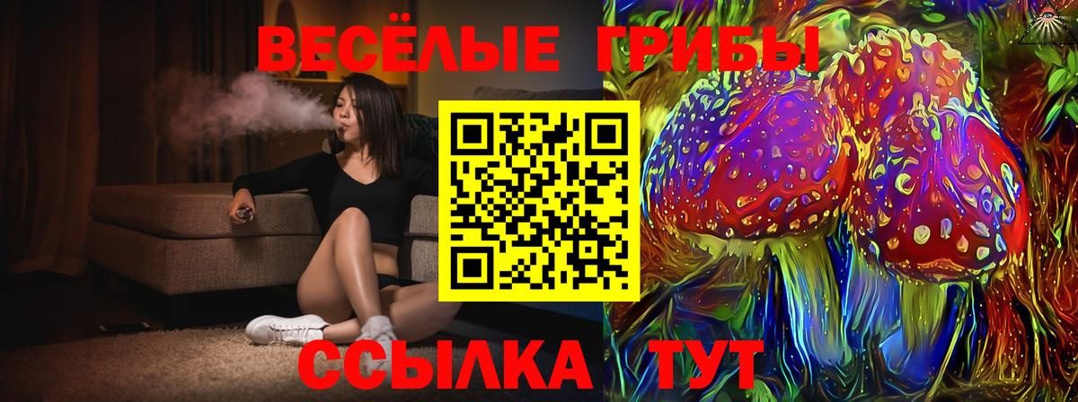 Псилоцибиновые грибы мухоморы Великие Луки